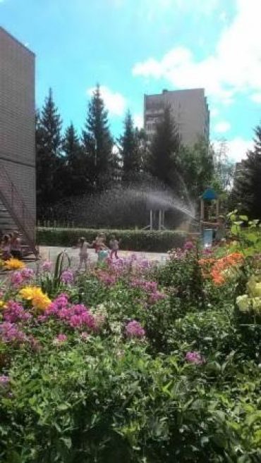 День воды
