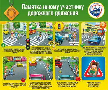 Профилактика детского дорожно транспортного травматизма